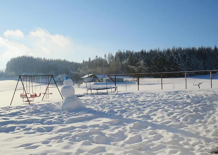 Prázdninový dům Traumferienhaus Xxl Ortner *