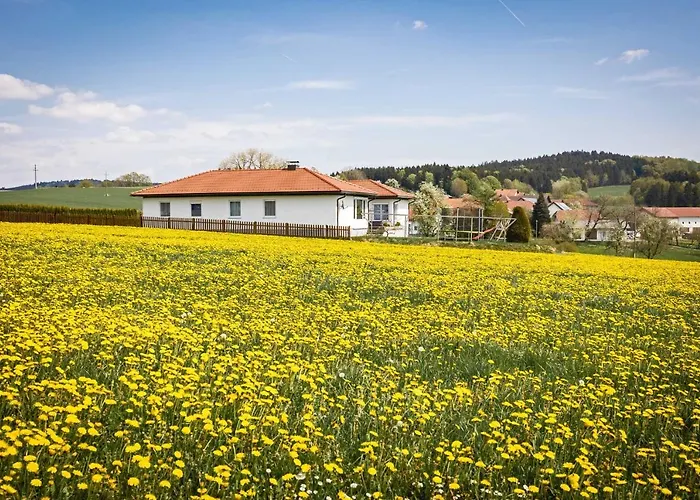 Traumferienhaus Xxl Ortner * Wetzendorf