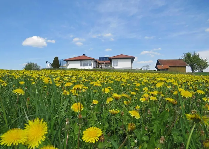 בית נופש Traumferienhaus Xxl Ortner Wetzendorf